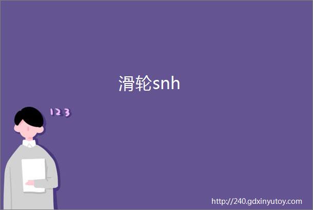 滑轮snh